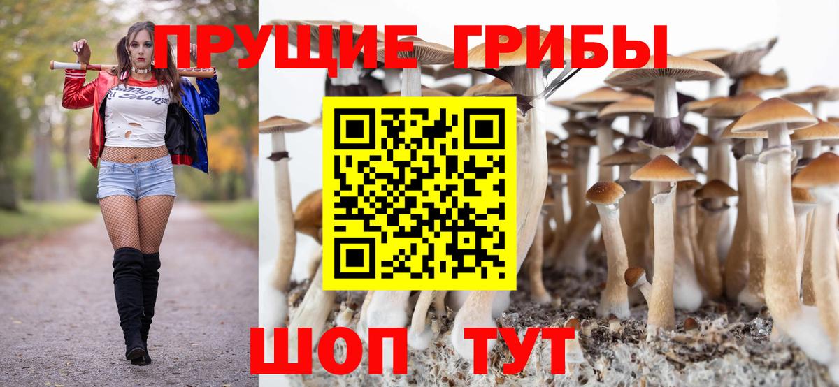 Канаш  Галлюциногенные грибы Psilocybine cubensis  Вход с VPN 